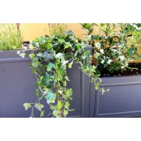 Picture Decorative flowerpot from the Milano collection
