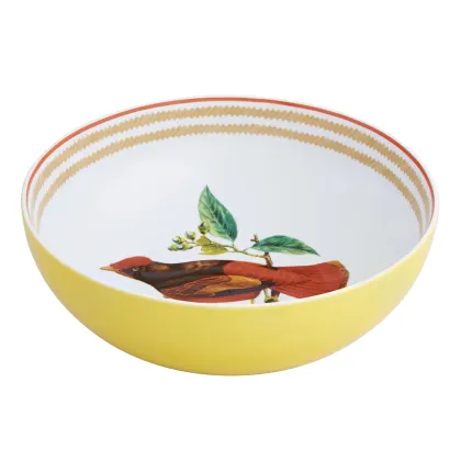 Zdjęcie Porcelanowa miska na sałatki Olhar o Brasil z motywem ptaka - Vista Alegre