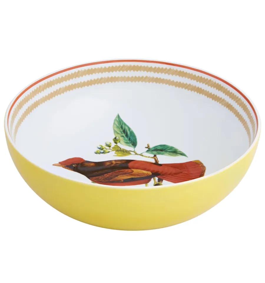 obrazek 1 Porcelanowa miska na sałatki Olhar o Brasil z motywem ptaka - Vista Alegre