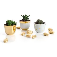 Zdjęcie Porcelanowa doniczka w urocze grochy