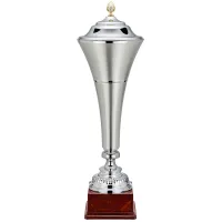Picture An unusual cup made of silver - an Italian product
