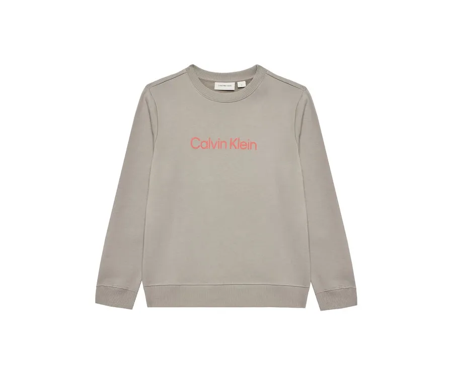 obrazek 1 Calvin Klein Jeans Bluza Inst Logo IU0IU00680 D Szary Regular Fit