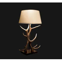 Zdjęcie Piękna lampa z podwójnym porożem