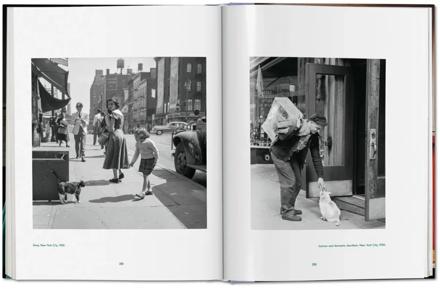 obrazek 7 Książka Walter Chandoha. Cats. Photographs 1942–2018 - Taschen
