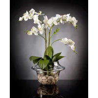 Picture Elegant arrangement with a glass vase for the bedroom