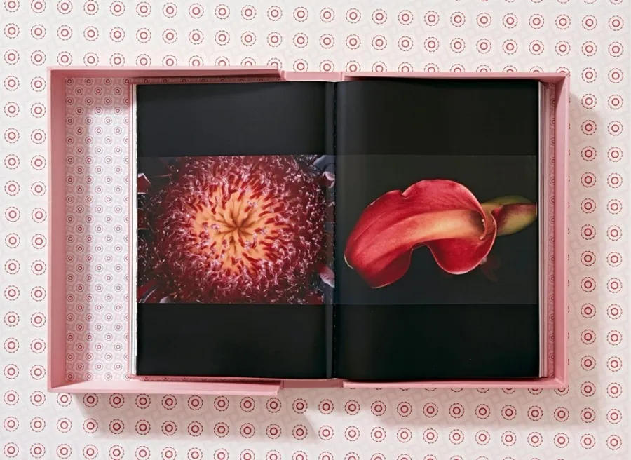obrazek 4 Książka Araki - Taschen