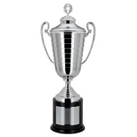 Zdjęcie Fantastyczny puchar na zawody sportowe