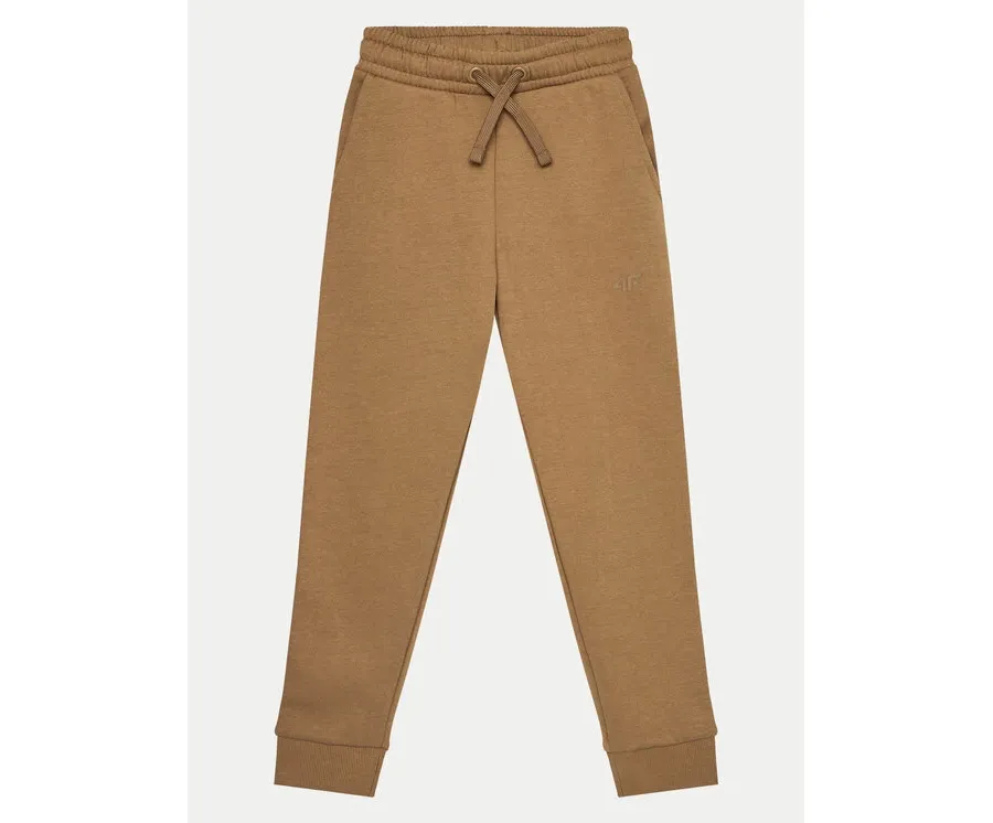 obrazek 1 4F Spodnie dresowe 4FJWMM00TTROF0828 Beżowy Regular Fit