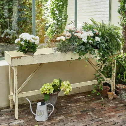 Zdjęcie Grządka podwyższona Broome