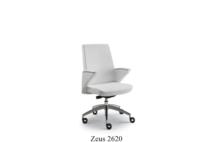 picture 8 Zeus armchair made of top quality leather