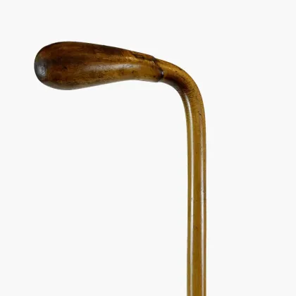 Picture An elegant walking stick from the early 20th century