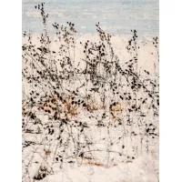 Zdjęcie Luksusowy ręcznie robiony dywan z Nepalu - Jordan