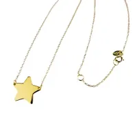 Picture A brilliant Italian chain with a 45 cm disc star