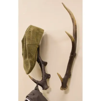 Picture Unusual antlers - wall decoration