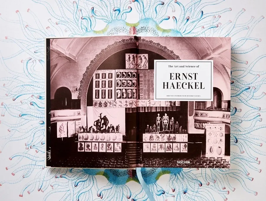obrazek 2 Książka Sztuka i nauka Ernsta Haeckla - Taschen