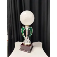 Zdjęcie Puchar z piłką do siatkówki