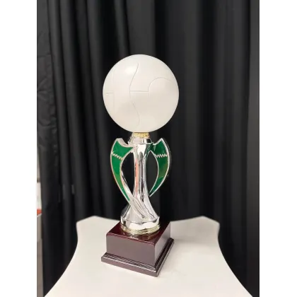 Zdjęcie Puchar z piłką do siatkówki