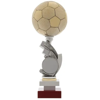 Zdjęcie Złoty puchar na mecz piłkarski