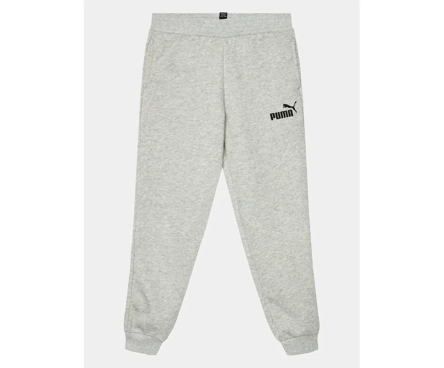 obrazek 1 Puma Spodnie dresowe Ess 587038 Szary Regular Fit
