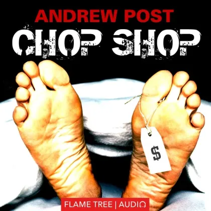 Zdjęcie Audiobook Chop Shop - Flame Tree Publishing
