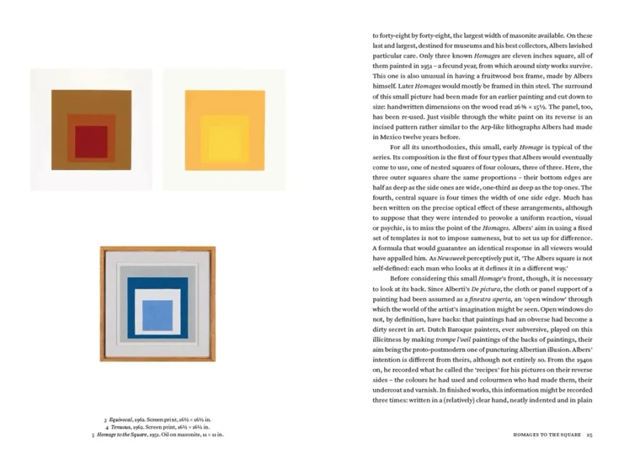 obrazek 9 Książka Josef Albers Życie i praca - Thames & Hudson