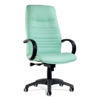 Picture Elegant leather Vancouver office armchair