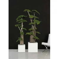 Picture A stylish large tree made of stabilized juniper