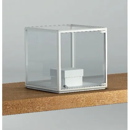 Picture A classic counter display case for a shop or boutique