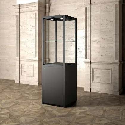 Picture Luxurious museum showcase with a base - a cabinet