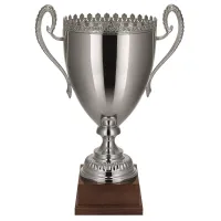 Picture An unusual cup made of solid materials