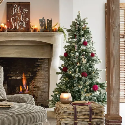 Zdjęcie Choinka Mannier