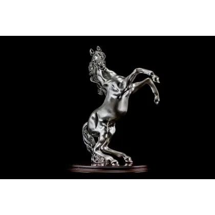 Zdjęcie Urokliwa średna figura galopującego konia