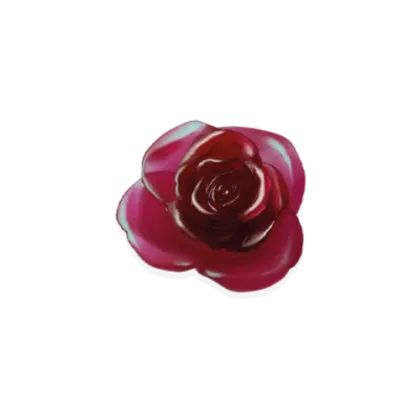 Zdjęcie Czerwona dekoracyjna róża Różana Pasja - Daum
