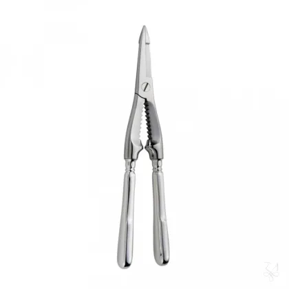 Zdjęcie Stylowe platerowane srebrem szczypce do homarów - Zaramella Argenti