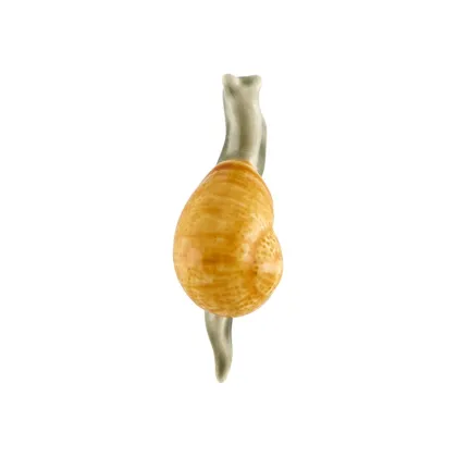 Picture Magnetic ceramic snail - Bordallo Pinheiro
