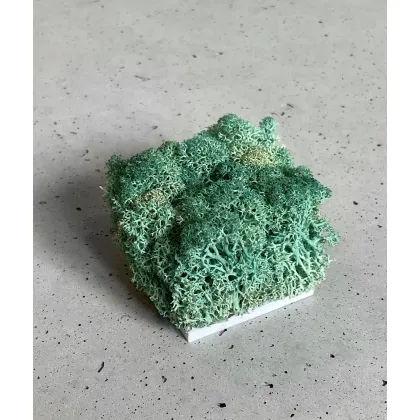 Zdjęcie Wzornik Chrobotek, mech reniferowy islandzki (010 turkusowa zieleń) - basic