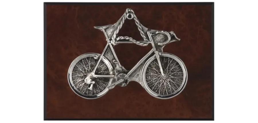 picture 1 Award for the cyclist - Astra Argenti