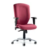 Picture Italian Seattle office armchair