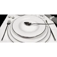 Zdjęcie Stylowa portugalska porcelana dla 12 osób - Porcel