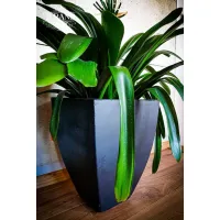 Picture High-quality, large Aplo flower pot