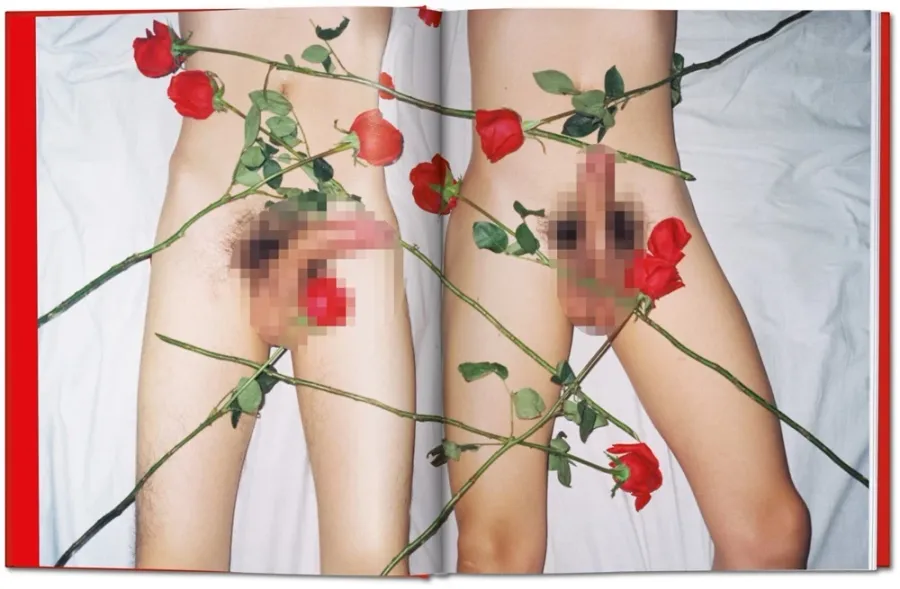 obrazek 3 Książka Ren Hang - Taschen