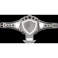 Zdjęcie Statuetka-pas bokserski dla zwycięzcy zawodów bokserskich – Erre Emme