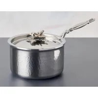 Picture High-quality stainless steel saucepan from an Italian brand