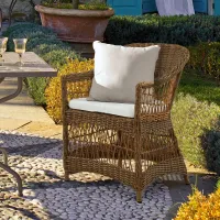 Zdjęcie Fotel Garden Grove