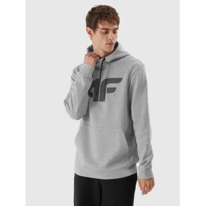 Zdjęcie 4F Bluza 4FAW23TSWSM694 Szary Regular Fit