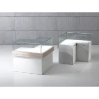 Picture Exclusive corner shop counter with a tempered glass display case