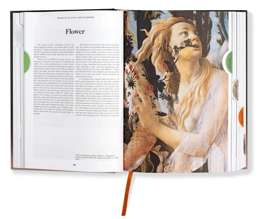 obrazek 6 Książka Księga symboli. Refleksje na temat obrazów archetypowych - Taschen
