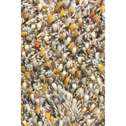 Picture Stylish beige shaggy carpet - SPRING 59103