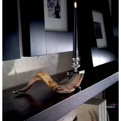 Picture Candlestick made of nickel-plated brass and antlers