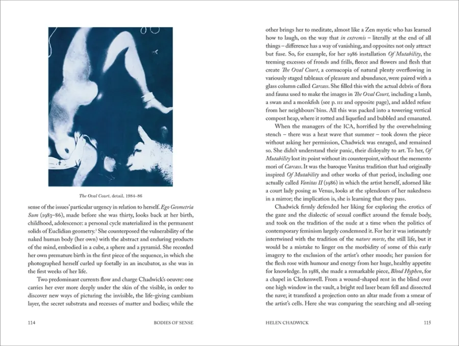 obrazek 8 Książka Formy Zaklęcia Pisma o sztuce i artystach - Thames & Hudson